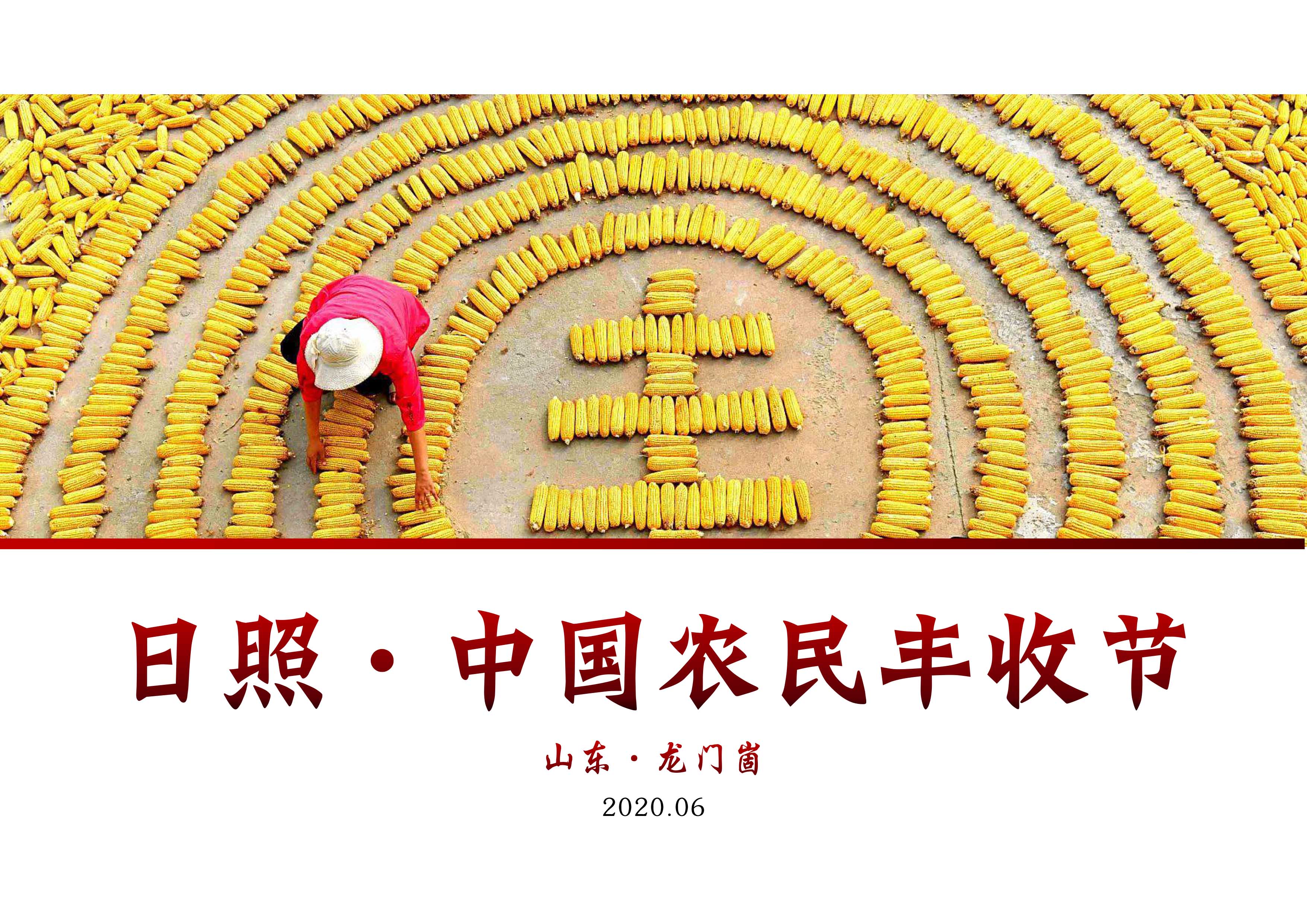 日照市中國農民豐收節全案活動咨詢