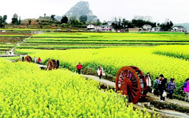 鄉村旅游規劃