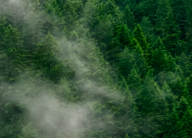 中辦國辦印發重磅文件：打造綠色生態宜居美麗鄉村